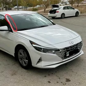 elantra 2021 labavoy plasmas