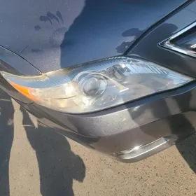 okuz kelle 2011 far amerikanka