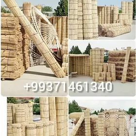 Gamyş Гамыш AK öý garöy Raşotg