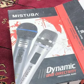 mikrofon микрофон