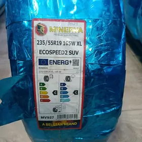 235/55R19 Minerva