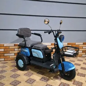 TIGIR MATOR PARTA MASYN KARSOK