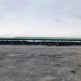 GÖKDEPE FERMA 20 GEKTAR