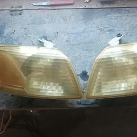 паваротник бабочка