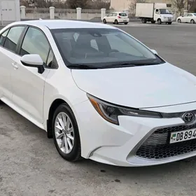 Toyota Corolla 2020