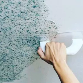 Jitki oboý. Житки Обои 20манат