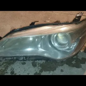 Azyada kemrin farasy