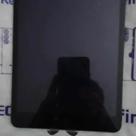 iPad mini 2