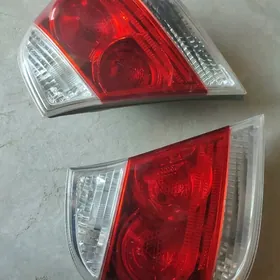 STOPNİK DUTU CEMRY 2005