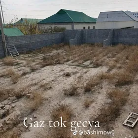 Buzmeyin 40 yyllyk  mellek