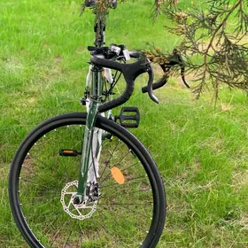 SPORTIWNY TIGIR JOKE