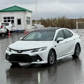 Toyota Camry 2019