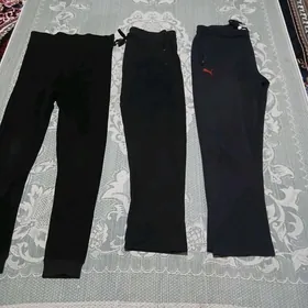 Биржелер  туркинки