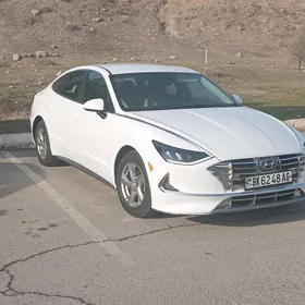 Sürüji ( Woditel )