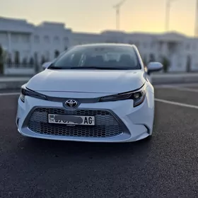 Toyota Corolla 2021