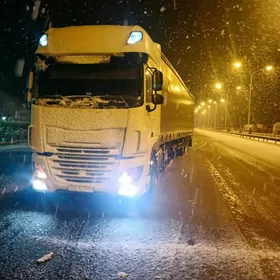 safyor suruji водител