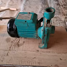 насос  LION 130