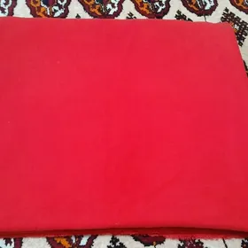 Begres ( draf material)