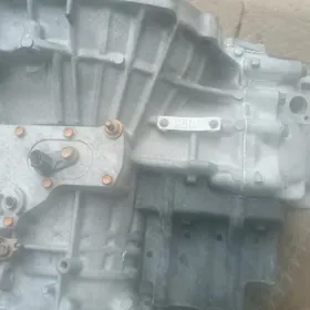 koropka 3 lik 2.4 lik