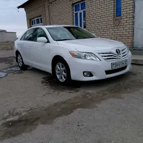 Toyota Camry 2010