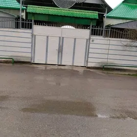 Багир,плановый до