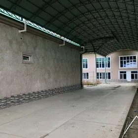 Анев Anew Eyesinden