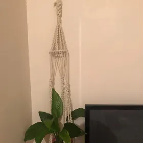 цветы горшки кашпо