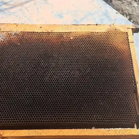 бал ари рамка