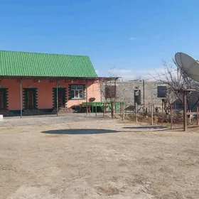 SATLYK JAYLAR ASGABATDA.