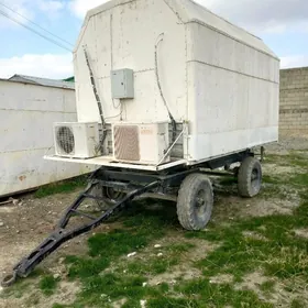 toy halodinlik sowadyjy