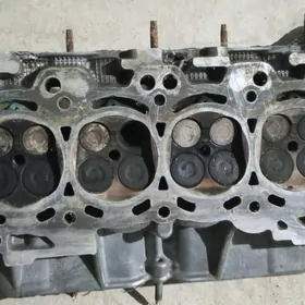 korolla golowka 2009