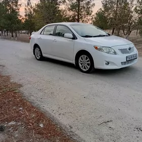 Toyota Corolla 2010
