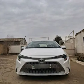 Toyota Corolla 2021