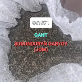 gant śugundyryñ gawygy (JOM)