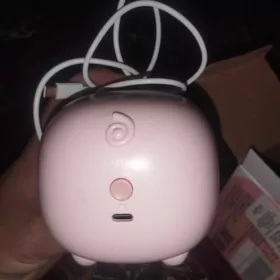 Çigidiñ gabygyny ayrýan