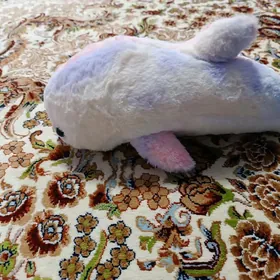 Turk onimi mişkaMiska