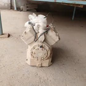 kampraser kondisaner man