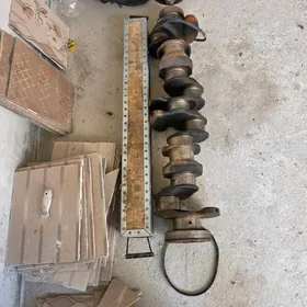 Wal bn Rasperdiwal "Wolwo"