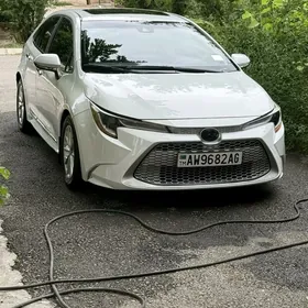 Toyota Corolla 2019