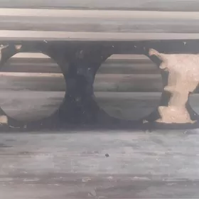 Pioner boçga spinka