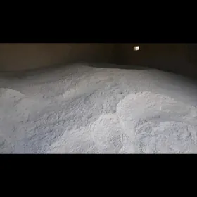 Sement mitiSement miti