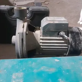 ой гуралари