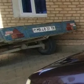 Prisep Polprisep 2025