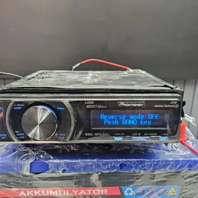 pioner delfin mantafon