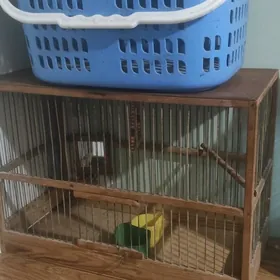 клетка попугай,сетка прадукт