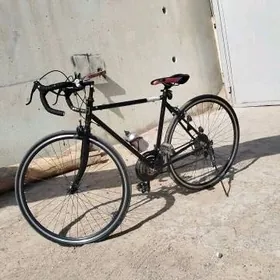 спорт велик