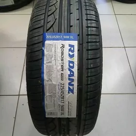 225/45/17 RUDANZ 25Y