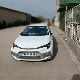 Toyota Corolla 2020