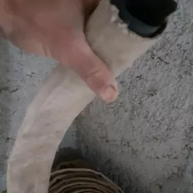 50lik pažarni şlanka