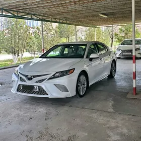 Toyota Camry 2019